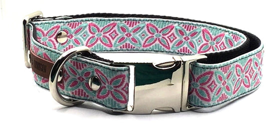 Finnigan's Signature Dog Collar Set