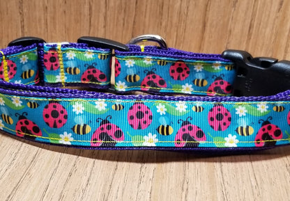 Collar/ Large/ Medium/ Lady Bugs