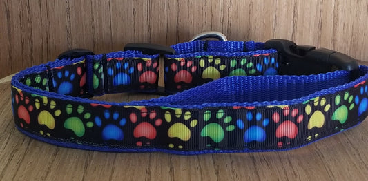 Collar/ Large/ Medium/ Rainbow Paw Prints on Blue