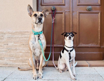 ROPE LEASH - OMBRE GREY