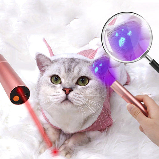 2 in 1 Cat Detection Lamp Laser Funny Cat Stick Test Pen