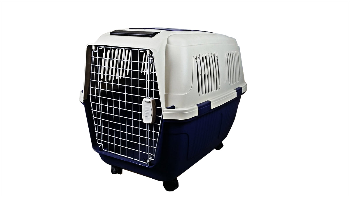 A&E Cage CD8 Assorted 40 x 29 x 30 in. Deluxe Pet Carriers, Assort