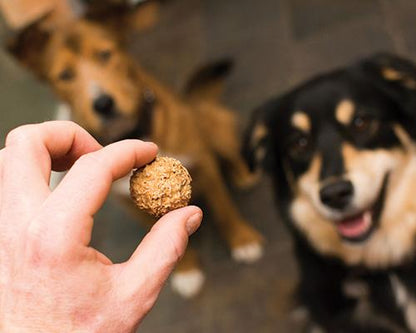 Original Beer Paws Peanut Butter Flavor Beer Biscuits Craft Beer