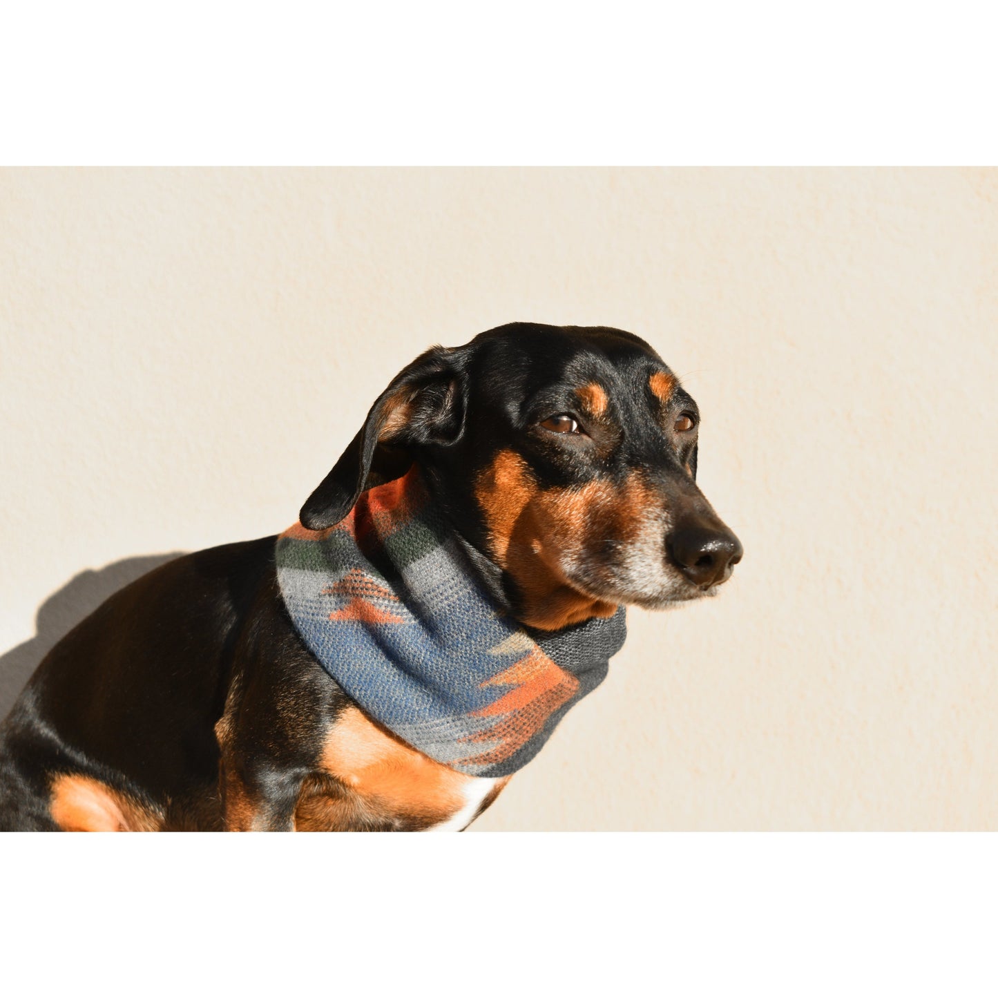 Sequoia Dog Scarf