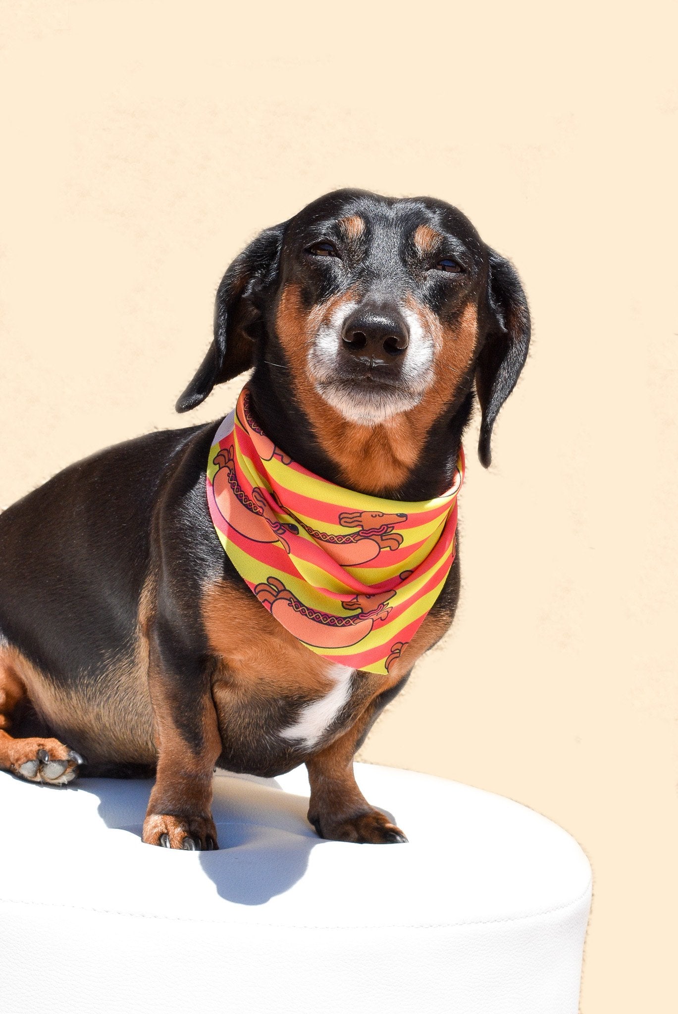 Hot Dawg Lover Bandana