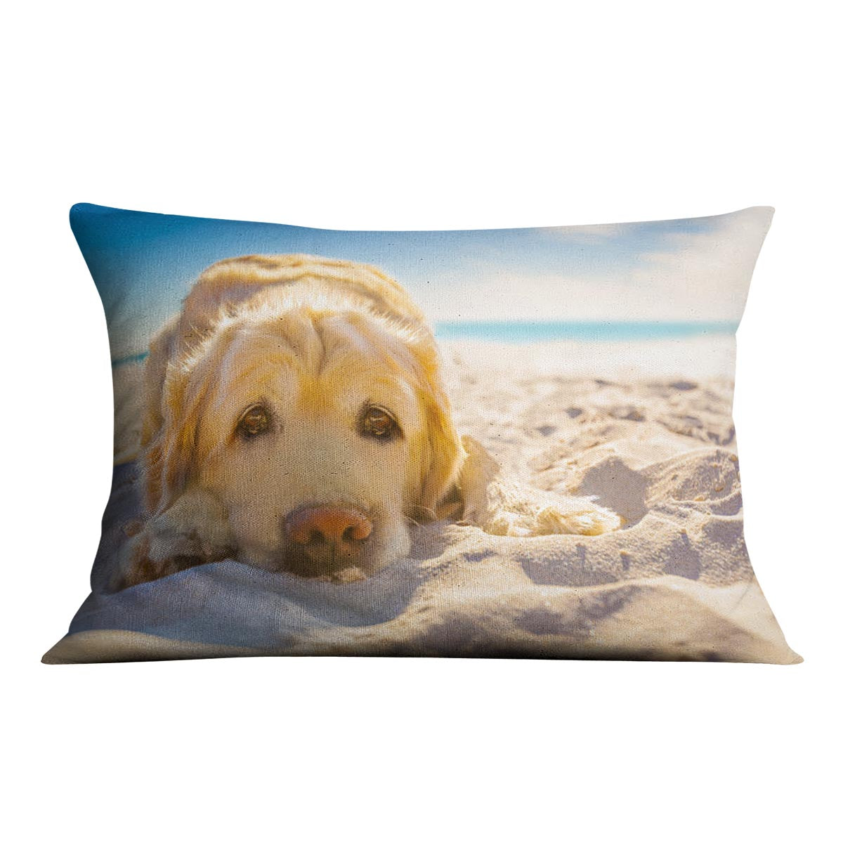 Golden retriever dog relaxing resting Cushion