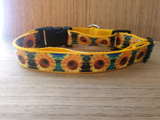 Leash/ Large/  Blue & Green Sunflowers