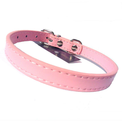 Kensington Plain Dog Collars