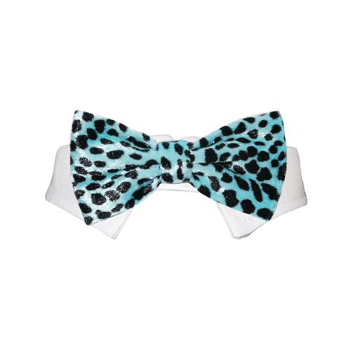 Roberto Bow Tie - Aqua