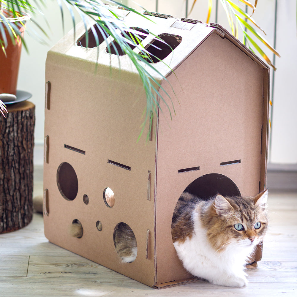 Cardboard Cat House SYLVESTER