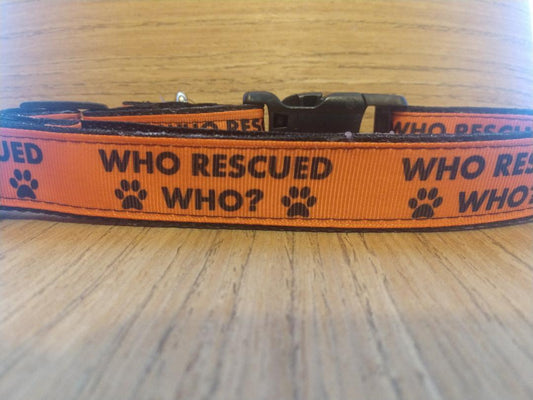 Leash/ Large/ Who Rescued Who