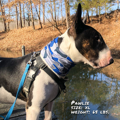 Bone Camo Blue Pup Scruff