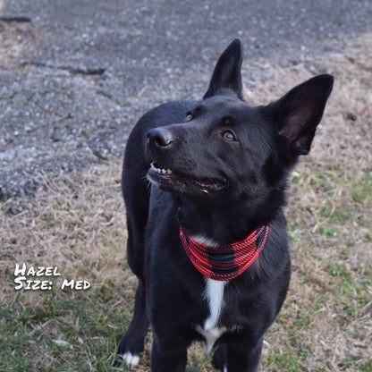 Buffalo Plaid Pup Scruff