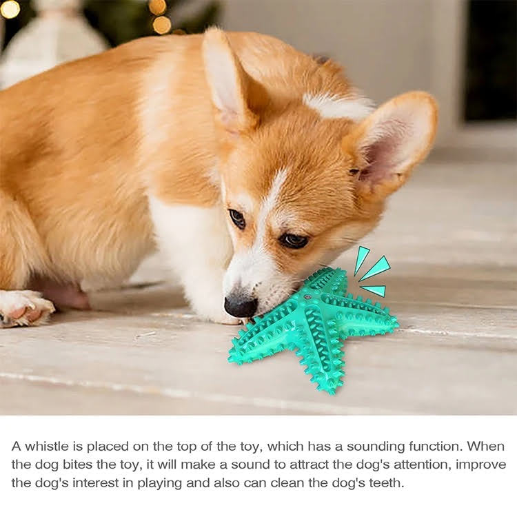 Fast Shipping 3 Pack Squeaky Toothbrush & Cotton Rope Ball Dog Toys