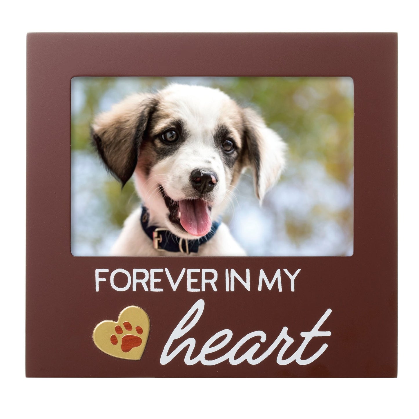 Forever in My Heart Dog Memorial Frame