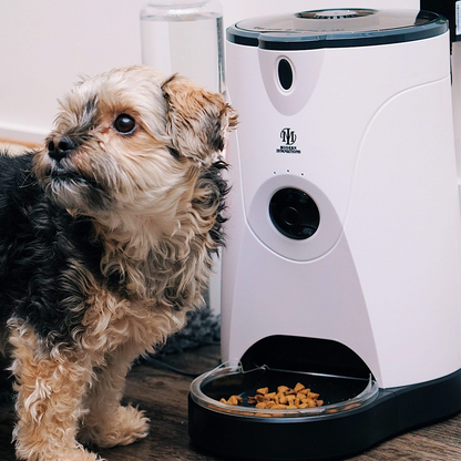 WiFi Pet Feeder